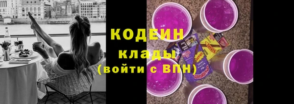 шишки Карпинск