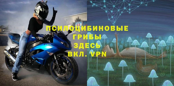 шишки Карпинск