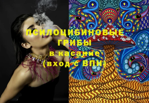 шишки Карпинск