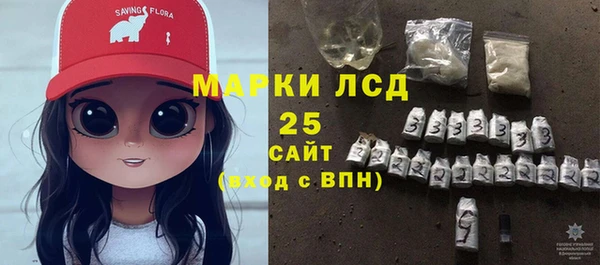 шишки Карпинск
