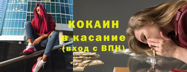 шишки Карпинск