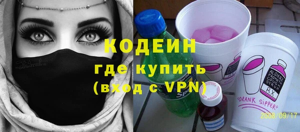 шишки Карпинск