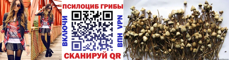 ОМГ ОМГ   Торопец  Галлюциногенные грибы прущие грибы  купить наркоту 